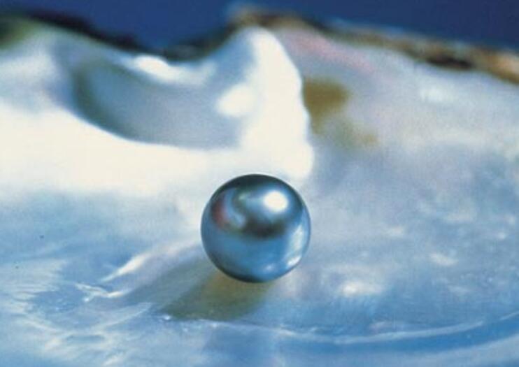 Robert Wan Pearl Museum (Musee de la Perle Robert Wan)